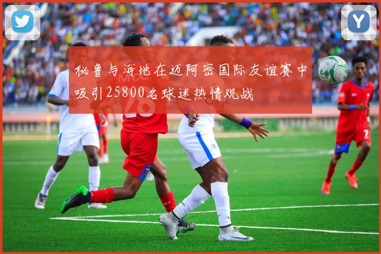 秘鲁与海地在迈阿密国际友谊赛中吸引25800名球迷热情观战