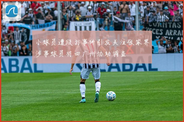 小球员遭殴打事件引发关注张家界涉事球员将回广州协助调查